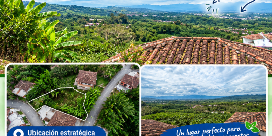 LV-0136 SE VENDE LOTE EN CHINCHINA CALDAS